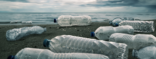 Are Plastic Water Bottles Bad For The Environment?